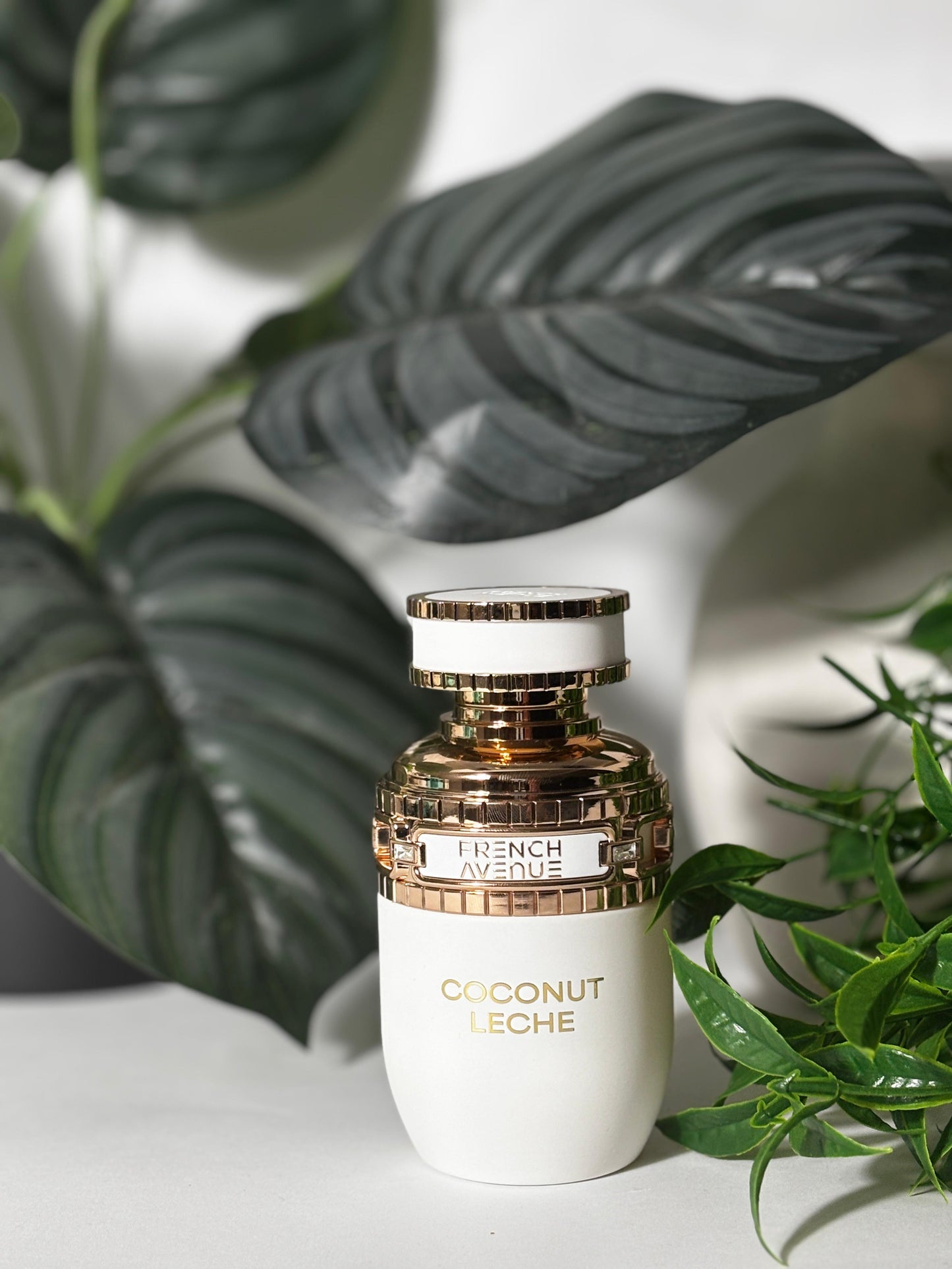 Coconut Leche - French Avenue eau de parfum