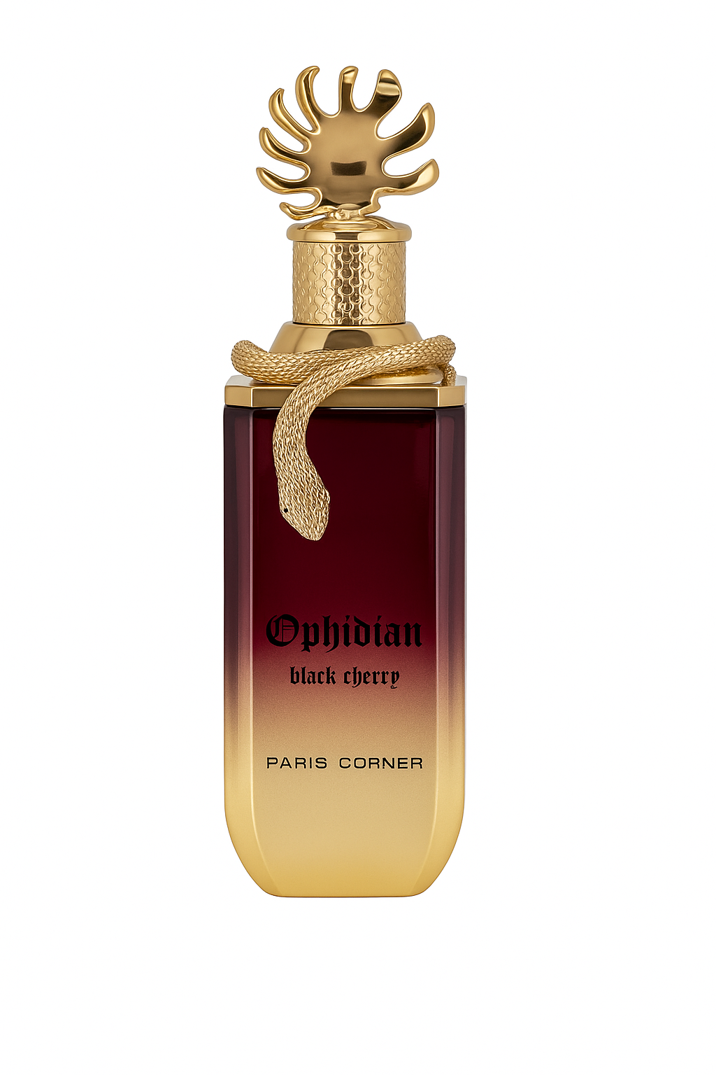 Ophidian Black Cherry - Paris Corner eau de parfum
